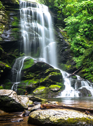 Glasrückwand Wasserfall im Wald